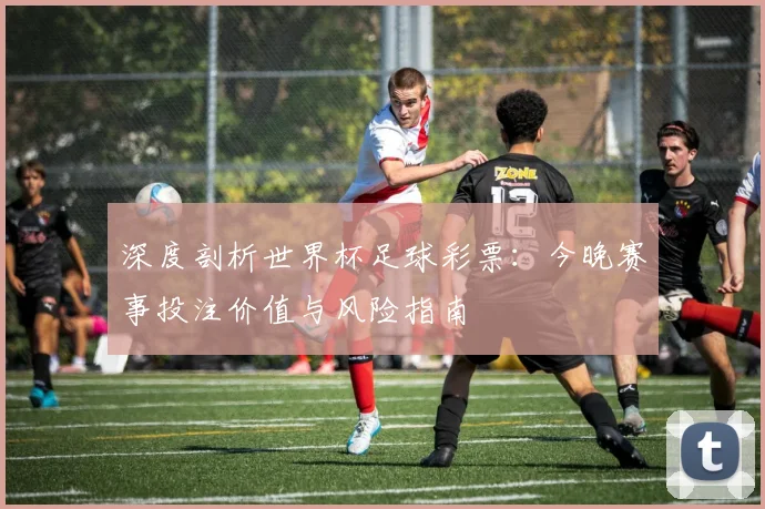 深度剖析世界杯足球彩票：今晚赛事投注价值与风险指南