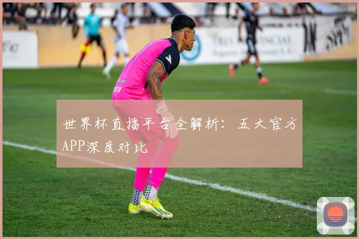 世界杯直播平台全解析：五大官方APP深度对比