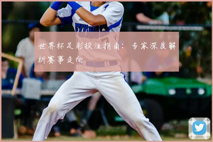 世界杯足彩投注指南：专家深度解析赛事走向