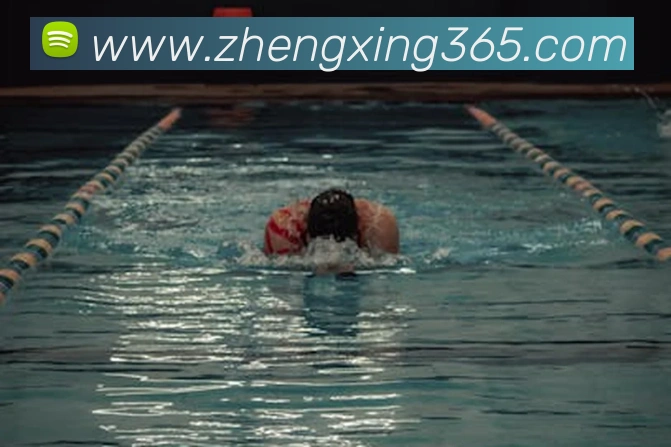 多媒体互动体验